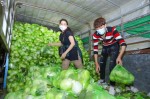 Nghệ sĩ Việt thức xuyên đêm bốc vác 20 tấn nông sản giúp Hải Dương