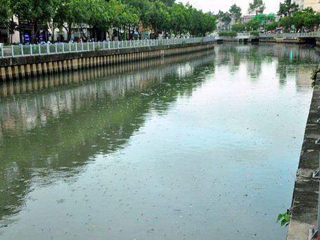 Cá lại nổi đặc kênh Nhiêu Lộc – Thị Nghè