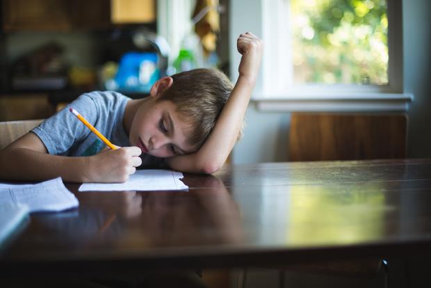 Cha mẹ đình công vì các con phải làm quá nhiều bài tập về nhà
