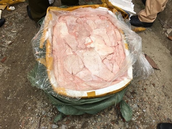 Hà Tĩnh: Choáng với 5,5 tấn mỡ và thịt 