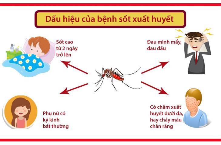 Mỗi nhà Hà Nội có 0,2 con muỗi, Bộ Y tế cảnh báo bùng phát dịch sốt xuất huyết