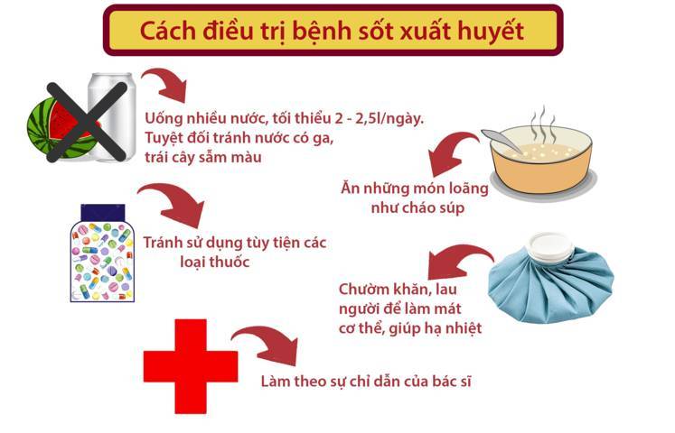 Mỗi nhà Hà Nội có 0,2 con muỗi, Bộ Y tế cảnh báo bùng phát dịch sốt xuất huyết