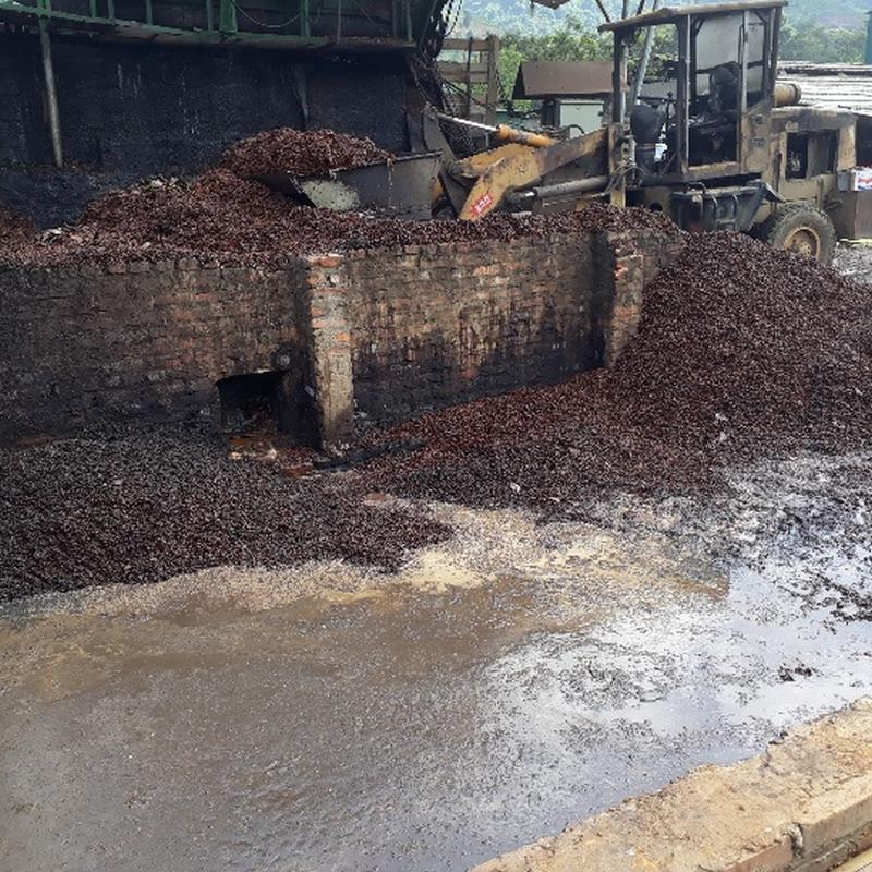 Sơn La: Tạm dừng hoạt động cơ sở sơ chế cà phê gây ô nhiễm